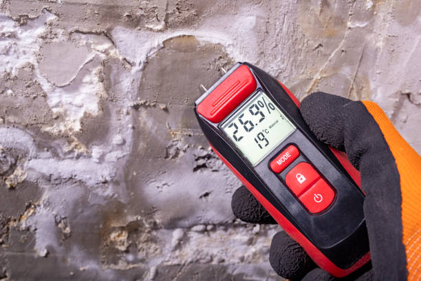 Best Mold Testing  in Bradley, IL